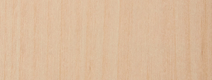 Björk massivträ - Kärnsund Wood Link