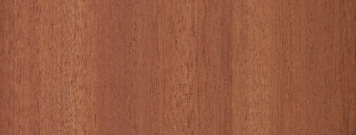Sipo Mahogny massivträ - Kärnsund Wood Link