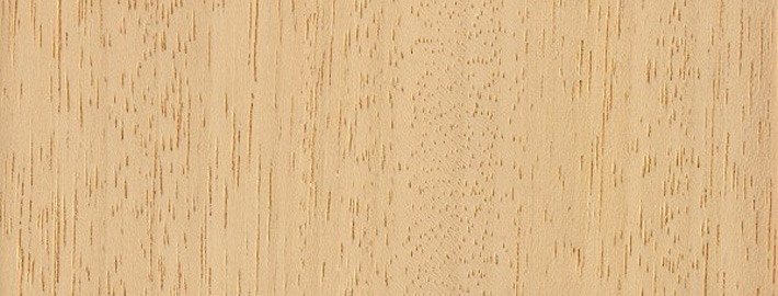 Abachi massivträ - Kärnsund Wood Link