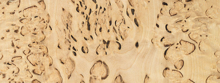 Masurbjörk massivträ - Kärnsund Wood Link