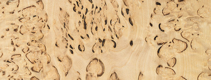 Masurbjörk massivträ - Kärnsund Wood Link