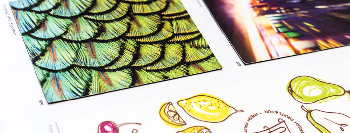 _MG_4910_polyrey_signature-710-270