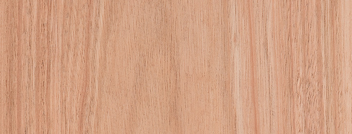 Red Grandis, Eucalyptus Grandis, Kärnsund Wood Link