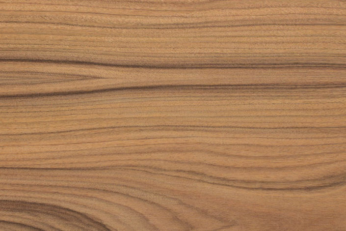 ROSEWOOD FANER SYDAMERIKANSK - C42