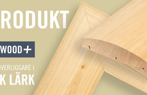 Överliggare i Sbirisk Lärk